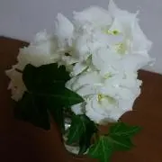 ローズ
