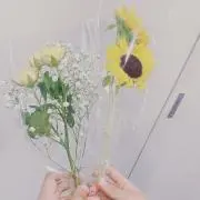 ももの画像