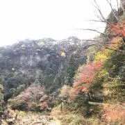 ちょこぴ