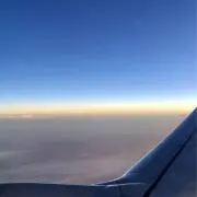 トミちゃんの画像