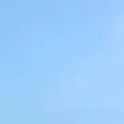 pon