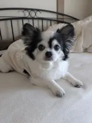 mieの画像