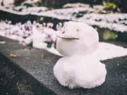 こんにちはの画像