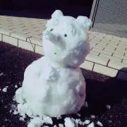 遊きだるま