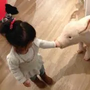 りんかんmama