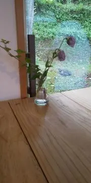 Ｓちゃんの画像