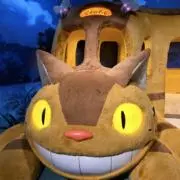 ぽんの画像