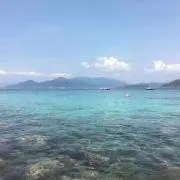 Jasmine0707の画像