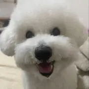 はる