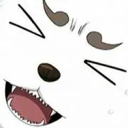 51