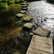 けん72の画像