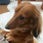 chaikun0520の画像