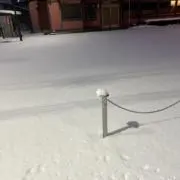 ナナナの画像