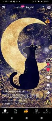 みけねこの画像