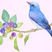 blue bird
