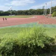 Image of ジェームズ