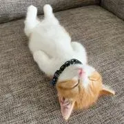 Rich.N⭐値下げ交渉歓迎⤴️の画像