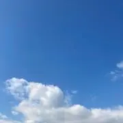 ともちゃんの画像