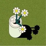 tepiの画像