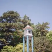 まこの画像
