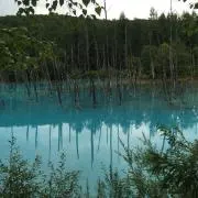 ponponの画像