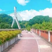 時雨の画像