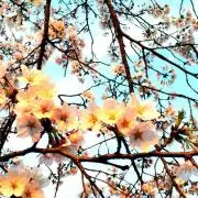 葵ママ☆断捨離中