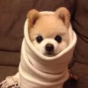 YUKIの画像