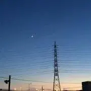 ママにゃんの画像