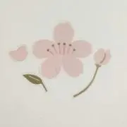 sakura88｜フォロー割◎即購入OKの画像