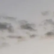 ぽむさんの画像