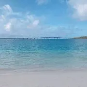 minaの画像