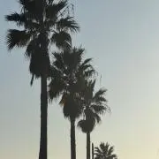めの画像