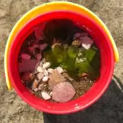 Ami.miの画像