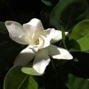 ao.☆の画像