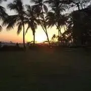 Moanaの画像