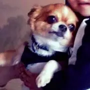 あゆぱんママ
