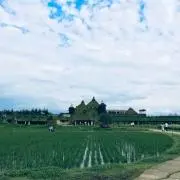 たらなり