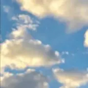 くーまん☆の画像