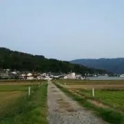 sei