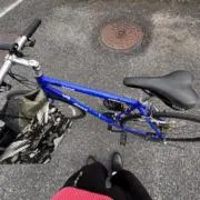 Aceの画像