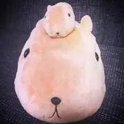 キングの画像