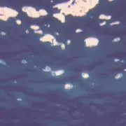 田中の画像