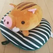 8000