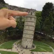 あるみの画像