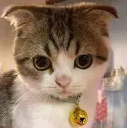 り〜くん