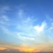 ＭＦの画像