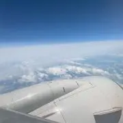 ゆきの画像
