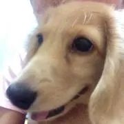 だくろ