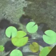 ななたんの画像